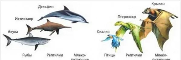 Почему крыши китайских традиционных зданий загнуты вверх?