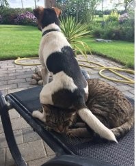 Смешные и познавательные картинки