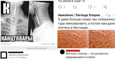 А по самой верхней фотке я подумал, что они собираются эмигрировать на Солнце