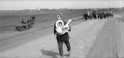 Агрессивный гусь атаковал тайского солдата