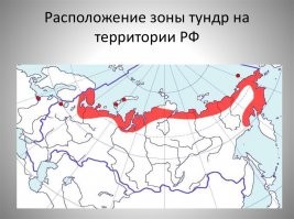 В  тундре нет эскимосов