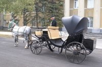 Да верните уже ЭКО-такси, наконец-то!
При нонешних ценах на бензин, глобальном потеплении, загазованности и Грете Тумблер - самое то!

*


Александр Новиков
Фаэтон
*
Вот здесь, на этой шумной площади
В давно ушедшие года
Ругались пьяные извозчики,
И улыбались господа.
Кивая гривами облезлыми,
Мелькая крупами коней,
Как докатились вы, болезные,
До современных "жигулей"?
*
Вас смяла жизнь неумолимая,
Жестокий, бешеный прогресс.
Кому дорога ваша длинная
Пришлась как раз наперерез?
И с облучками антикварными
Вы оказались невпопад –
Ни одиночными, ни парными
На километрах автострад.
*
Колеса хрупкие со спицами –
Да не боялись мостовых.
Не знали: радоваться, злиться ли
На жесты глупых постовых.
И в гонках, вам совсем не свойственных,
И даже в поисках гроша,
Всегда хранили вы спокойствие
И чинный шаг. И чинный шаг.
*
Вы золочеными каретами
Доступны были не для всех.
Не украшали вас портретами –
Тогда еще считалось – грех.
И лошадиною упряжкою,
Себе поблажки не прося,
Тащили ношу вашу тяжкую
На подогнувшихся осях.
*
Вы боевыми колесницами
Кому-то виделись во сне,
И люди с царственными лицами
Вас погоняли на войне.
Вы пролетали тройкой свадебной,
Кому-то счастье подарив,
Хрипели вы с невестой краденой,
Узду до боли закусив.
*
Менялись вы. Менялись всадники.
Сменился камень на бетон.
И нынче в будни или в праздники
Уже не встретишь фаэтон.
Сбылось великое пророчество:
Вас грубо вытеснил мотор.
И всем теперь до боли хочется
Скакать на нем во весь опор.

*

Как просто стать музейной редкостью,
Однажды выбившись из сил.
И удивлять столетней ветхостью
За пять копеек – гран мерси!
И что в музеях вы наплачете
Под взгляд зевающих повес?
Вы через сотню лет проскачете,
А "мерседес" уйдет под пресс.