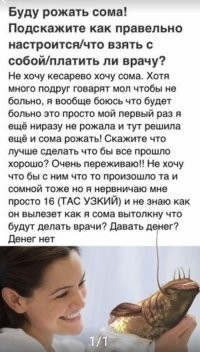 Смешные и познавательные картинки