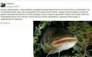 Смешные и познавательные картинки