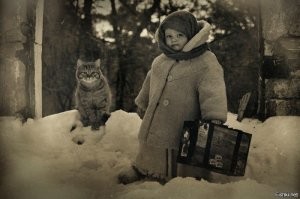 О дружбе