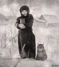 О дружбе