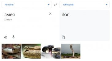 За основу взяли имя: