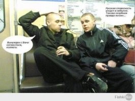 Смешные и познавательные картинки