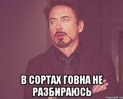 Чем отличаются титулы эмира, халифа, султана, шаха и хана