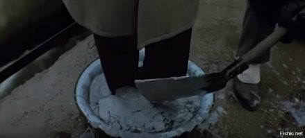 Смешные и познавательные картинки