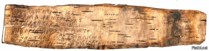 Перевод текста: приписка: «Говорит (букв. сказала) тебе Милуша: дай две гривны вчерашние»; основной текст: «От Милуши к Марене. Большой Косе   пойти бы ей замуж за Сновида. Маренка! Пусть же напьются п"зда и клитор!».
Как отмечает А. А. Зализняк, «эта формула (‘пусть пьет vulva’) в буквальном виде неоднократно отмечена в фольклорных записях XIX XX вв. Она явно связана со  срамными“ песнями, составляющими важную часть народного свадебного ритуала, исконная функция которых состоит в том, чтобы магическим путем способствовать плодородию, продолжению рода».