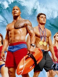 Птичку жалко: питерские спасатели вызволили дикую чайку из ледяного плена