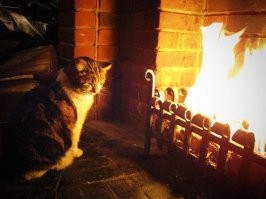 Магия огня!