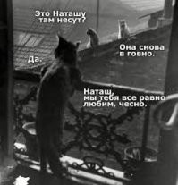 Смешные и познавательные картинки