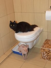 Мои пока не могут синхронизироваться