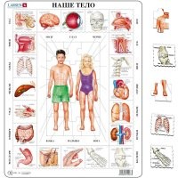 Хорошо, что патологоанатомы не участвовали