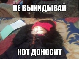 Смешные и познавательные картинки