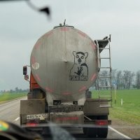 как мне нравится зима в Анапе!