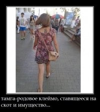 Смешные и познавательные картинки