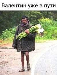 14 убойных мемов про День всех влюбленных