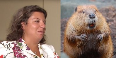 Классный пост! Маргарита одобряет!