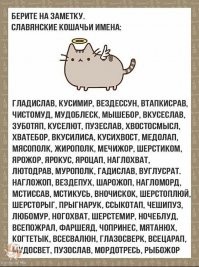 Интересные факты о львах