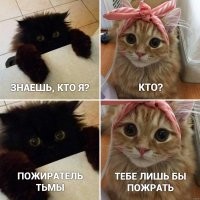Смешные и познавательные картинки