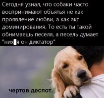 Смешные и познавательные картинки