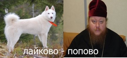 Смешные и познавательные картинки