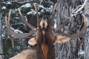 18 убойных кадров в стиле "Показалось", заставляющих пораскинуть мозгами