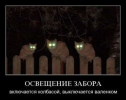 Веселые  картинки