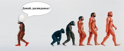 В отеле Санкт-Петербурга житель Дагестана гонялся за девушкой и откусил ей ухо