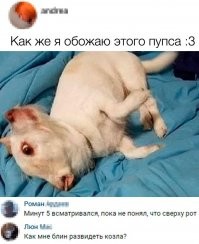 18 убойных кадров в стиле "Показалось", заставляющих пораскинуть мозгами