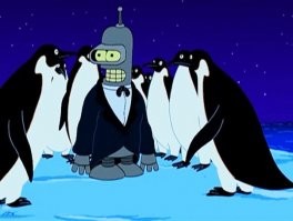 Незамерзающий пингвин: почему жителям Антарктики не страшен мороз?