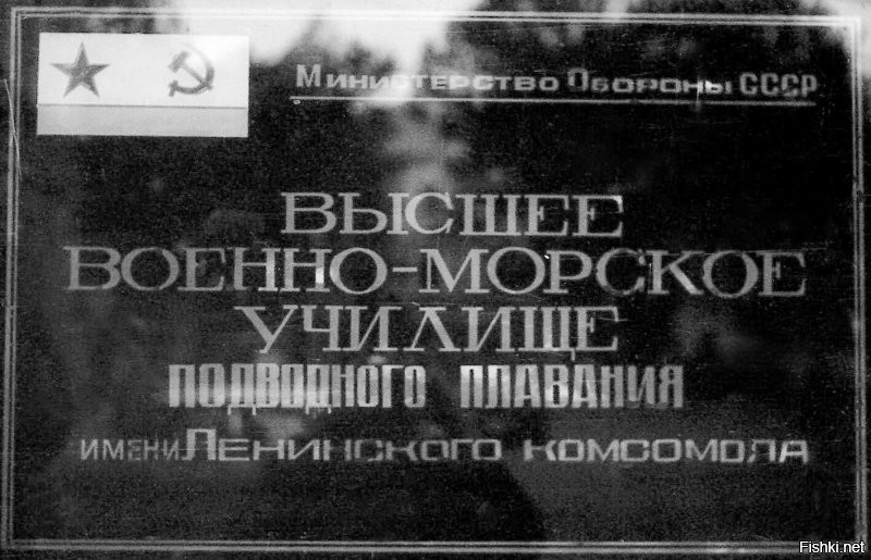 На фото №5 не матросы, а курсанты (якоря на погонах) чистят картошку в столовой.
Этим до дембеля лет двадцать...... .(Возможно это ВВМУПП ЛенКом)
Чистили повзводно по очереди все факультеты 1,2,3 курса.
Минимум 3 ванны, если повезёт, чаще максимум - 5 ванн. По времени занимало 2-3 часа.
Если выпадало на выходные, когда в клубе была дискотека, тогда для ускорения процесса чистили всей ротой, что бы попасть на дискач. Но такое бывало редко.
Чистить приходилось вручную, т.к. картофелеочистительная машина магла только промывать картошку, весь аброзив внутри барабана машины стёрся и кожура почти не снималась.