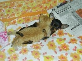 Пост о дружбе