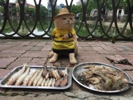 10 аппетитных идей завтрака дня тех, кто любит себя