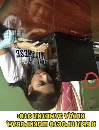 Смешные и познавательные картинки