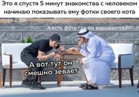 Смешные и познавательные картинки