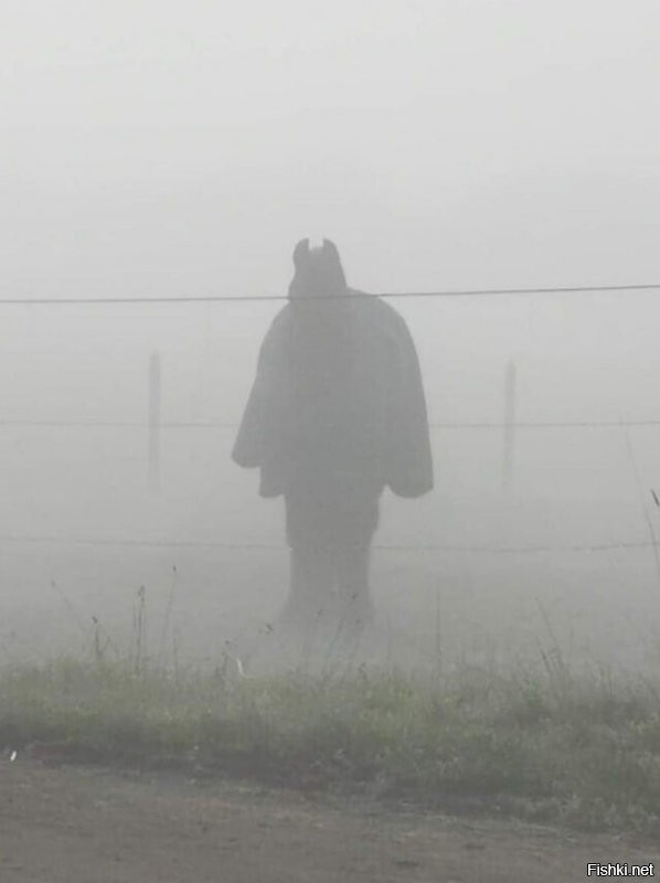 Так вот ты какой, Конь в Пальто?! Или это Лошадка из "Ёжика в тумане"?