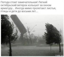 Смешные и познавательные картинки