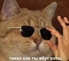 Смешные и познавательные картинки