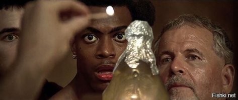 Смешные и познавательные картинки