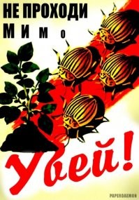 Главный полосатый вредитель: как появилось название колорадского жука?