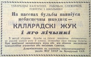 Главный полосатый вредитель: как появилось название колорадского жука?