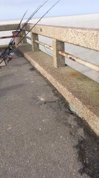 Вот пример дебилов которые 2 недели назад пошли на море рыбачить . У нас группа рыбаки с пляжа вот его фотки :)