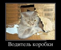 Смешные и познавательные картинки