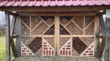 И как с насекомых взимают плату за отель?