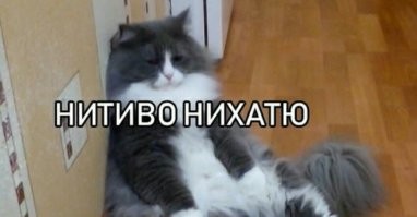 Смешные и познавательные картинки