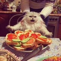 На его месте должен был быть я!